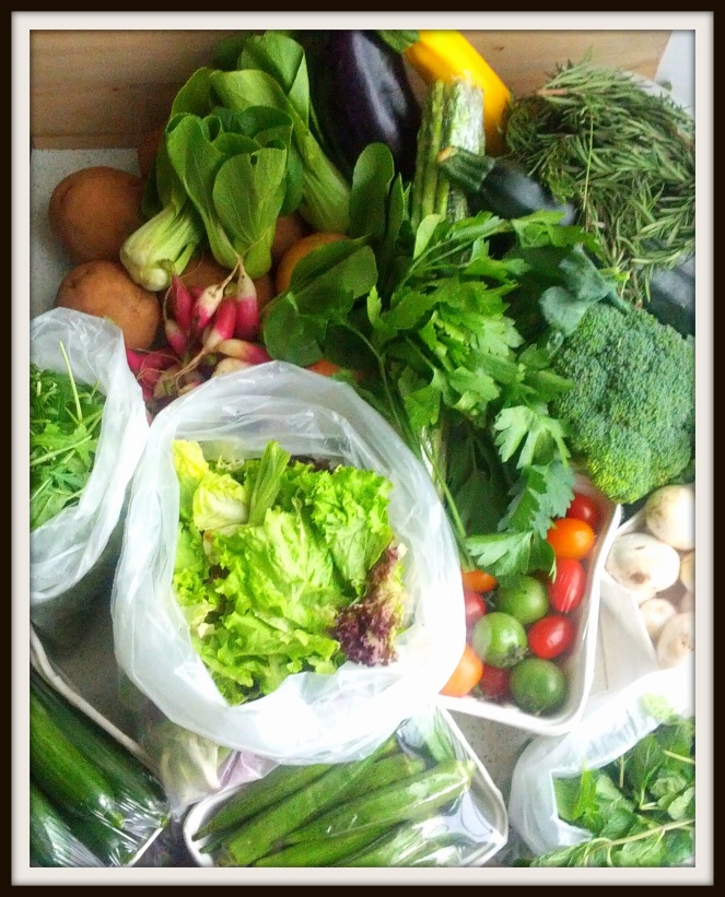 Fresh, organic vegie box